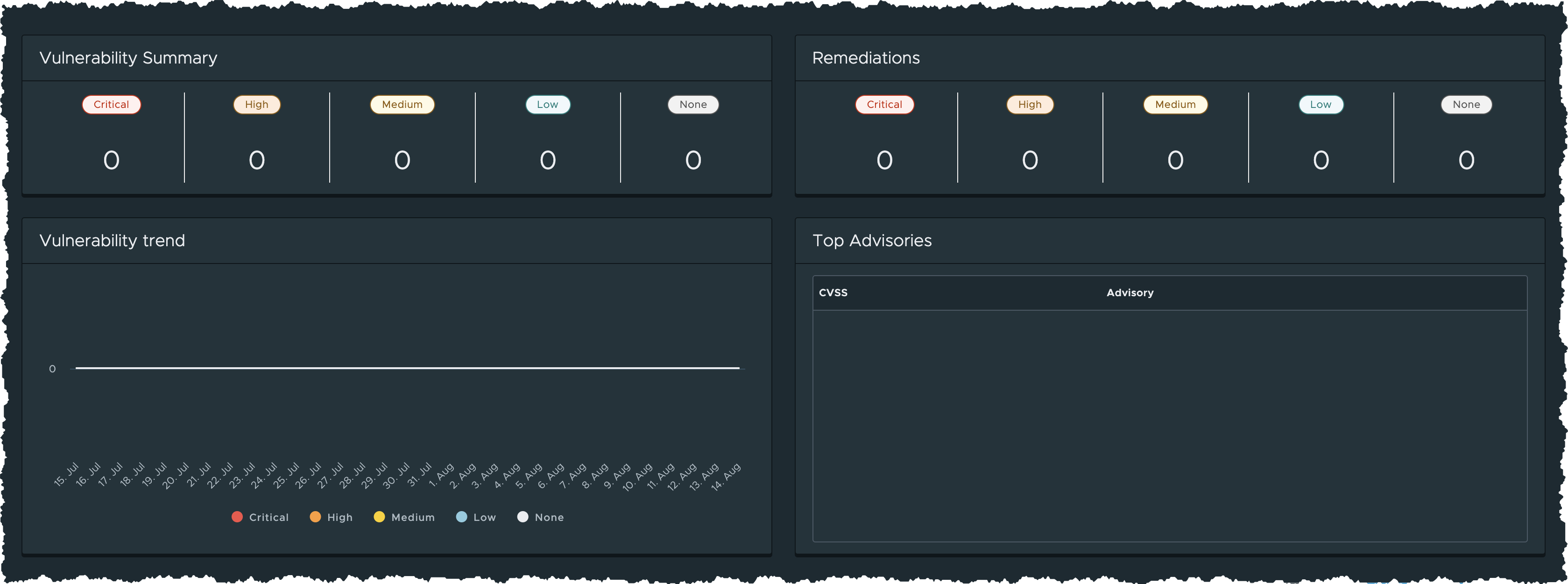 Vulnerability Summary